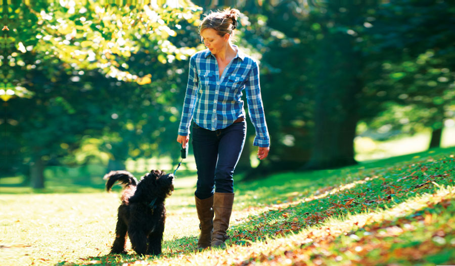 National trust dog friendly best sale near me