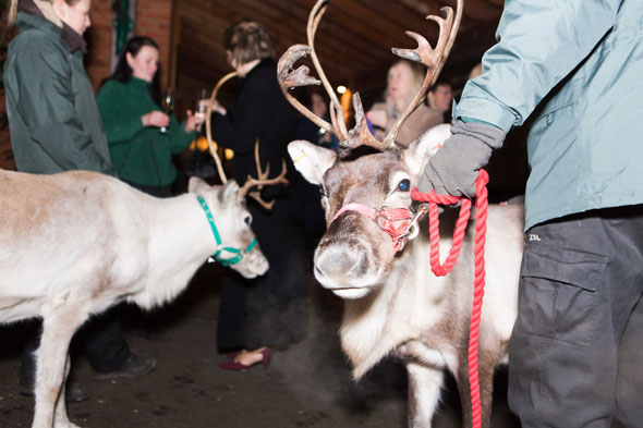 christmas-see-the-sets-590-4