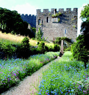 Trematon-Castle-pic3