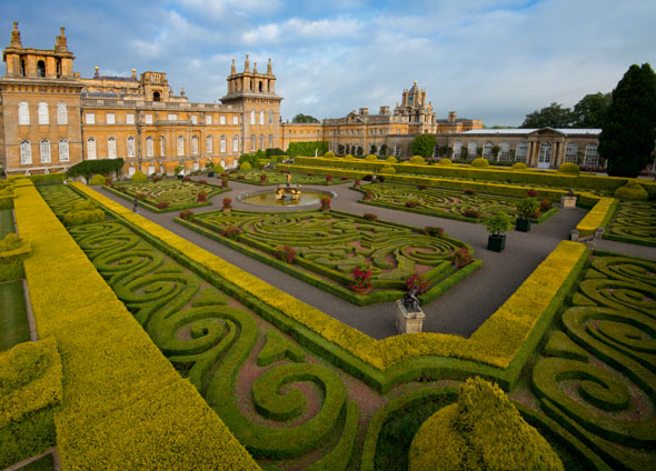 cap-brown-blenheim-590