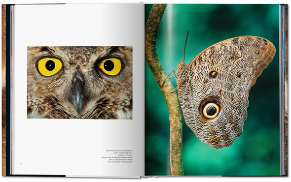 books-coffee-table-book