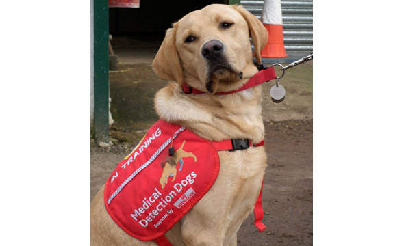 Medical-Detection-Dogs-Charity-Day