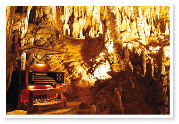 7-SonicWonders-07-590