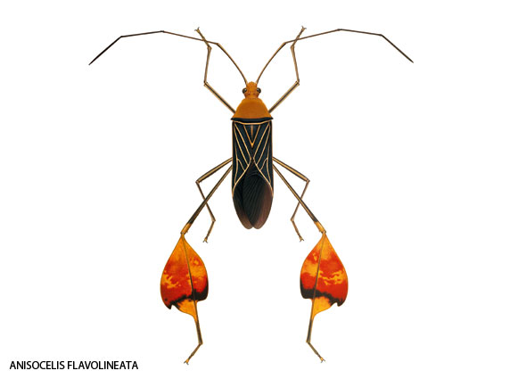 Bugs-04-590