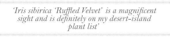 Gardening-Jun28-02-590