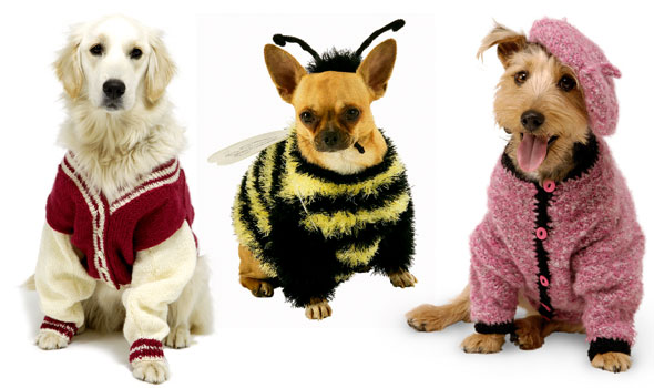 Wacky dog knits