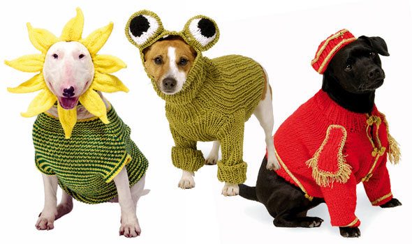 Wacky dog knits