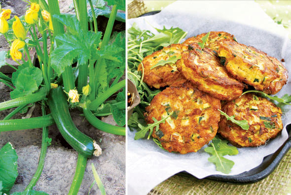 Courgette fritters