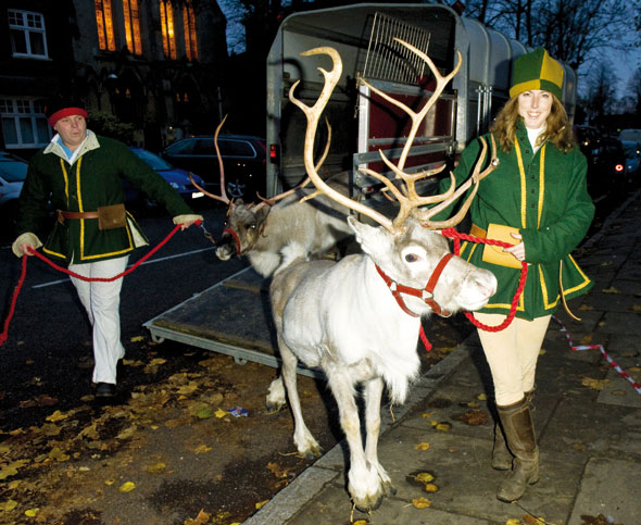 Reindeer-Dec14-02-590