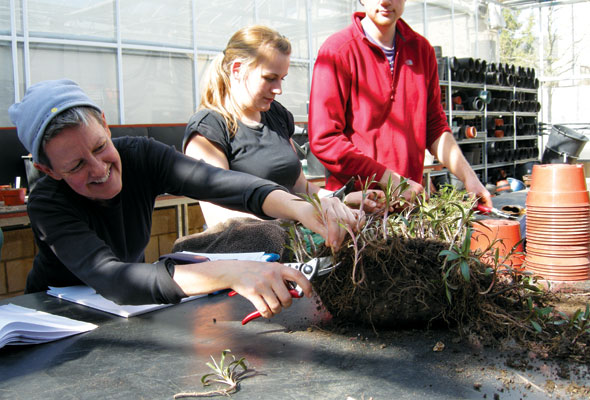 gardening-Feb01-03-590