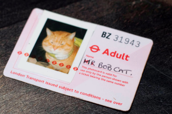 Bob travels on the fe-line with his very own Tfl pass