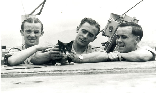 VG-Animals-02-590