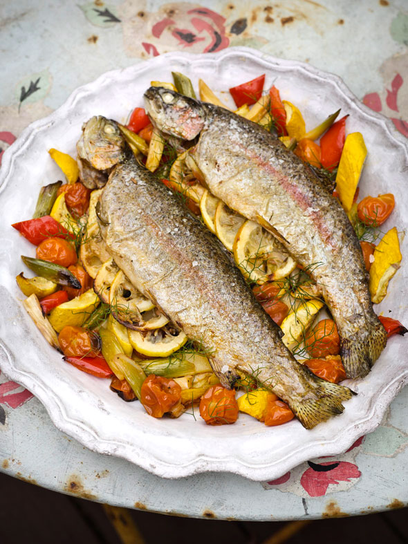 fish