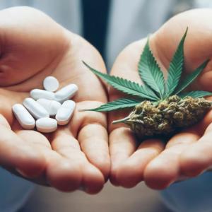 buy weed uk