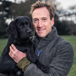 Sandringham labrador best sale puppies for sale