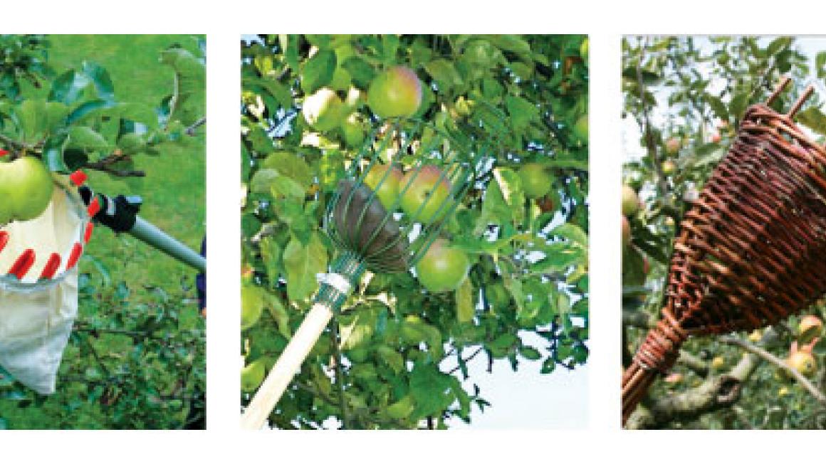 3 of the best… fruit pickers lady.co.uk